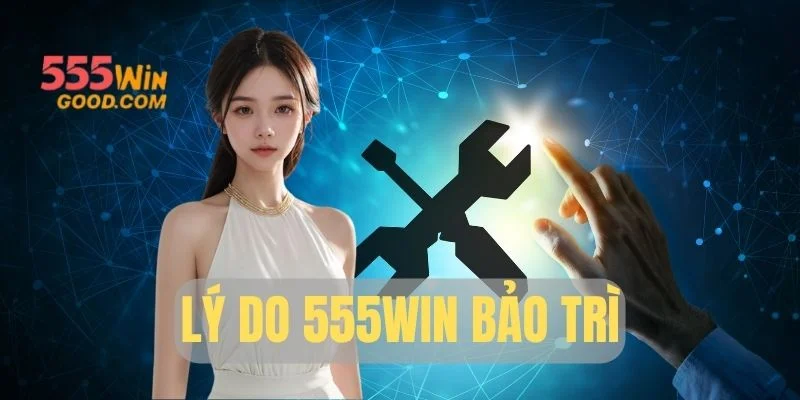 Lý Do 555win Bảo Trì Và Những Điều Người Chơi Cần Biết